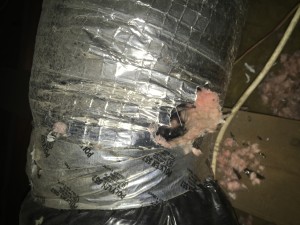Chewed Duct Work